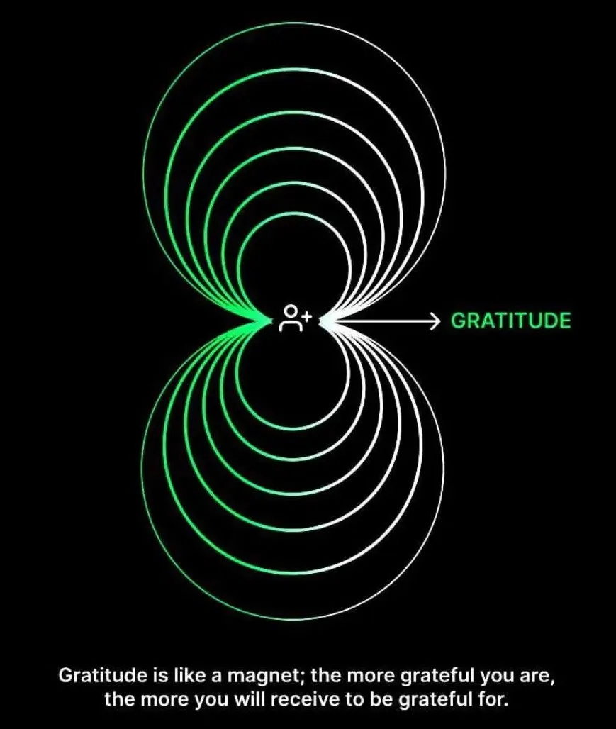 The Gratitude Effect: Shifting into Abundance and Joy