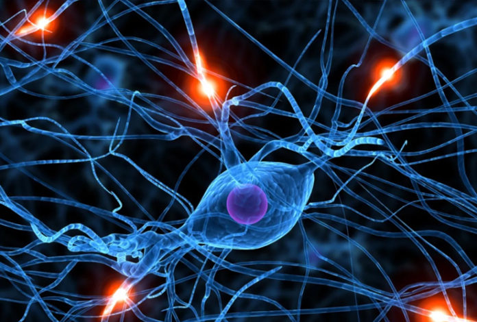 The Positivity Shift: Rewiring the Mind for Optimism